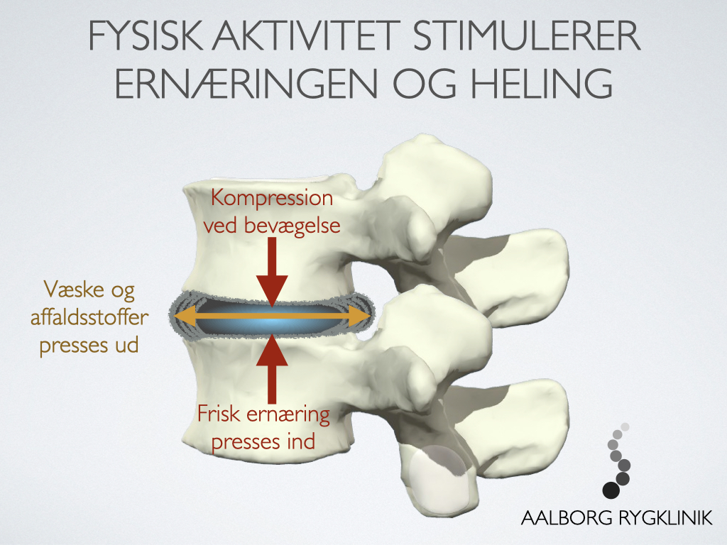 Sådan holder du dine bruskskiver sunde