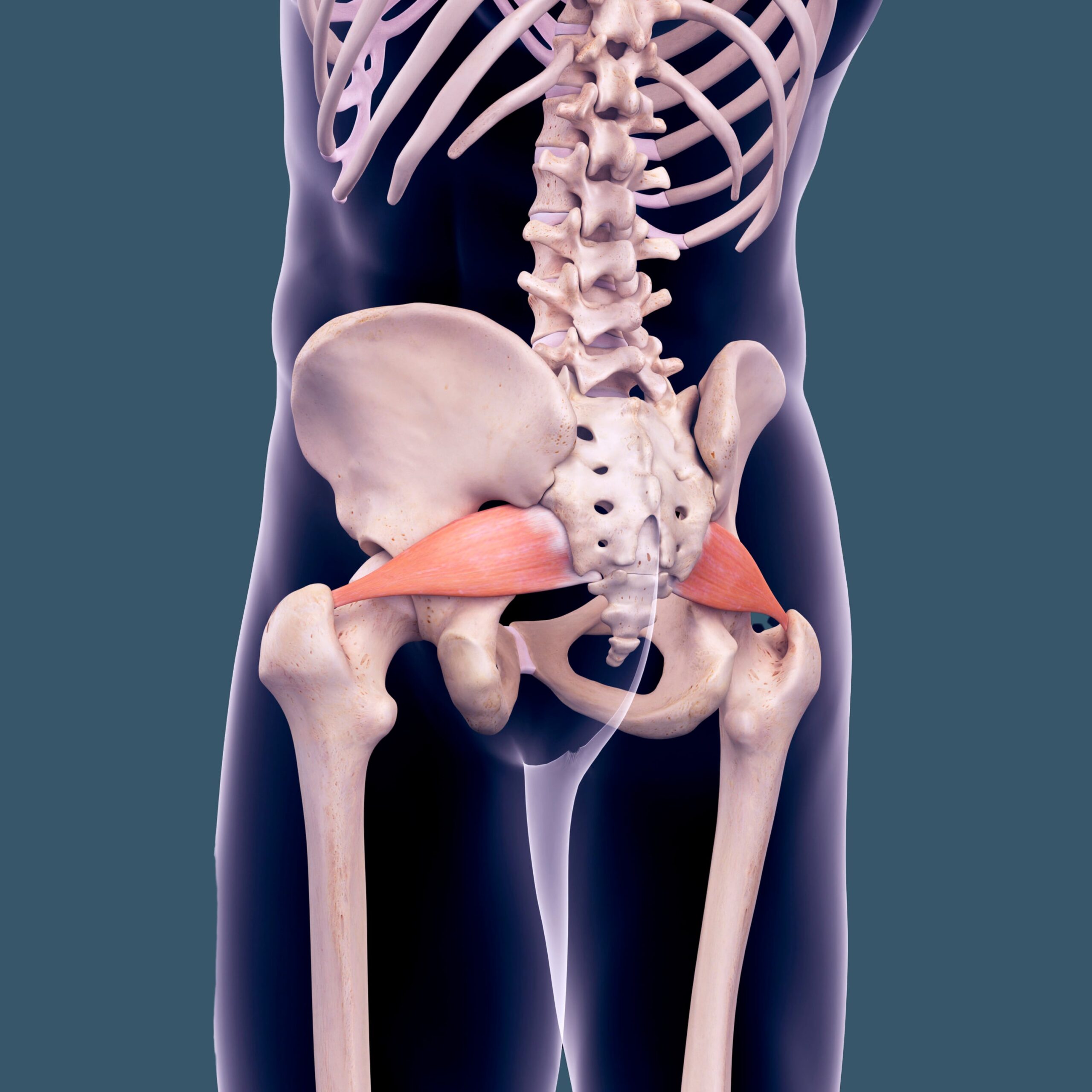 Øvelser til piriformis-syndrom