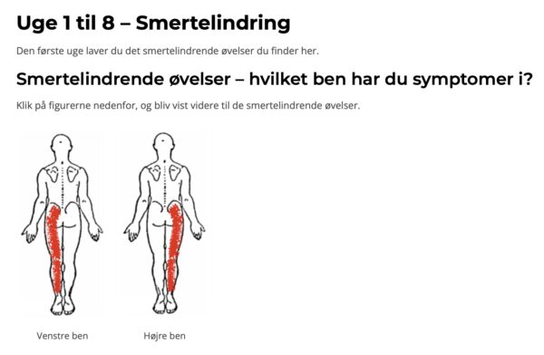 Diskusprolaps i lænden - smertelindrende øvelser og optræning online - Image 3