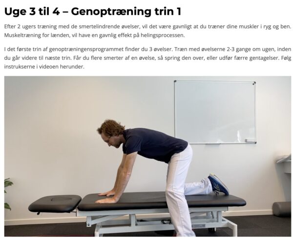 Diskusprolaps i lænden - smertelindrende øvelser og optræning online - Image 4
